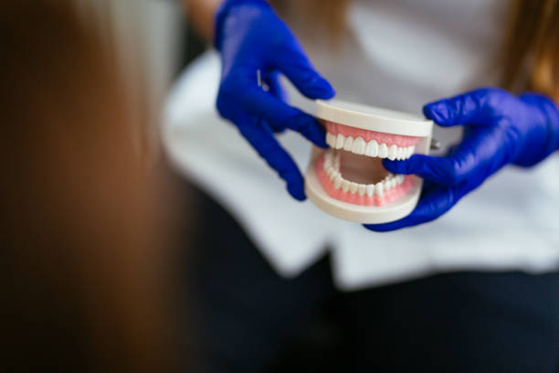 Best Preventive Dentistry  in Chillum, MD